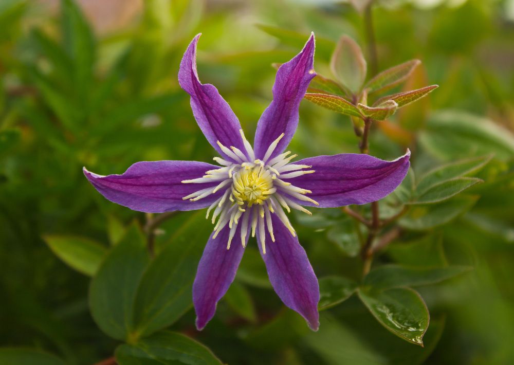 Photograph by Светлана Гришакова