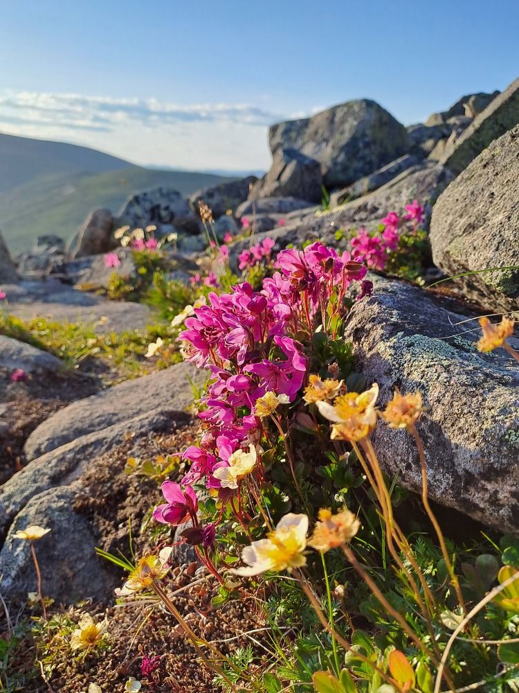 Photograph by Галина Проценко