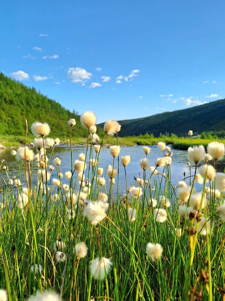 Photograph by Галина Проценко