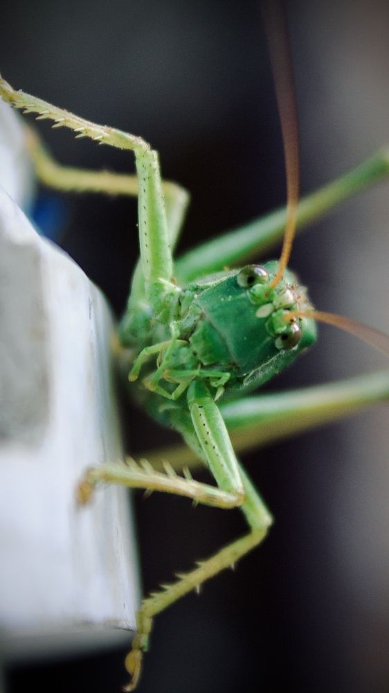 Photograph by Илья Юриков