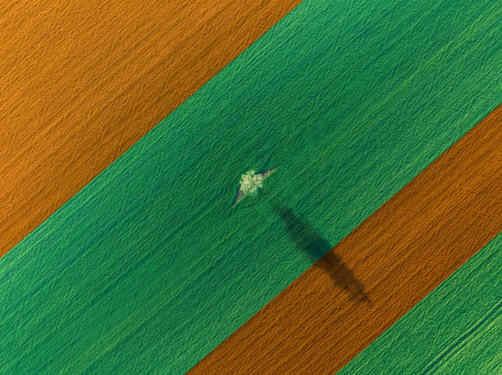 Photograph by Брытков Николай