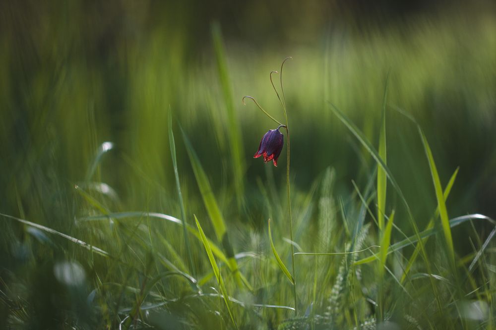 Фотография автора Rimma Gerasimenko