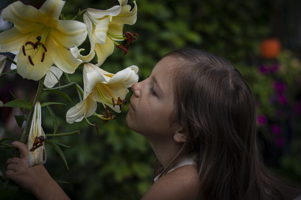 Photograph by Дарья Ульченко