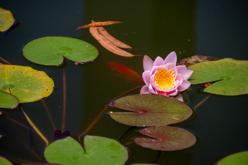 Photograph by Svetlana Jegorova