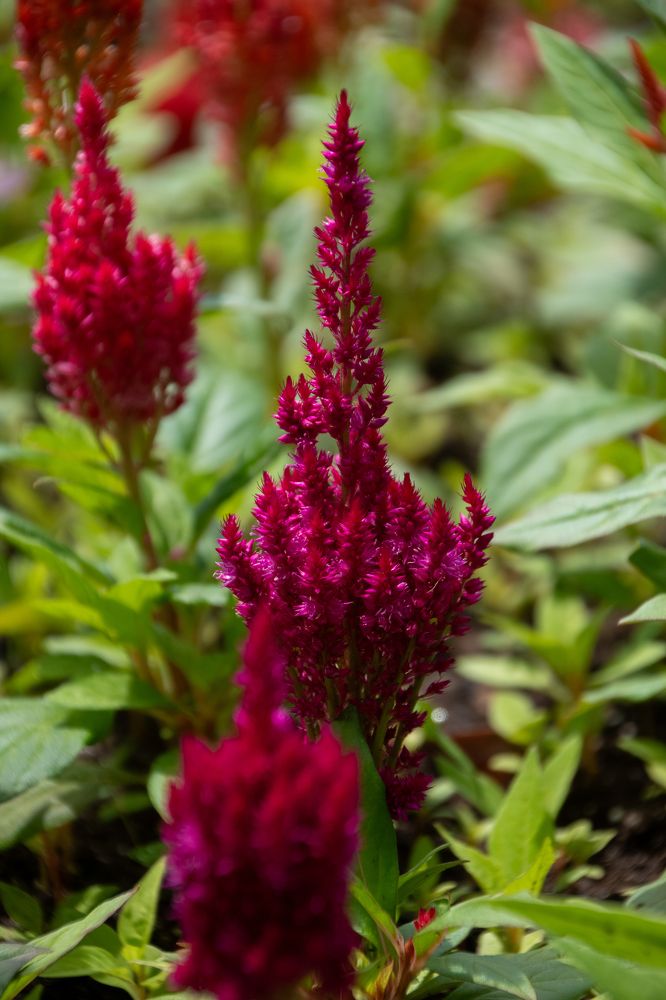 Photograph by Svetlana Jegorova