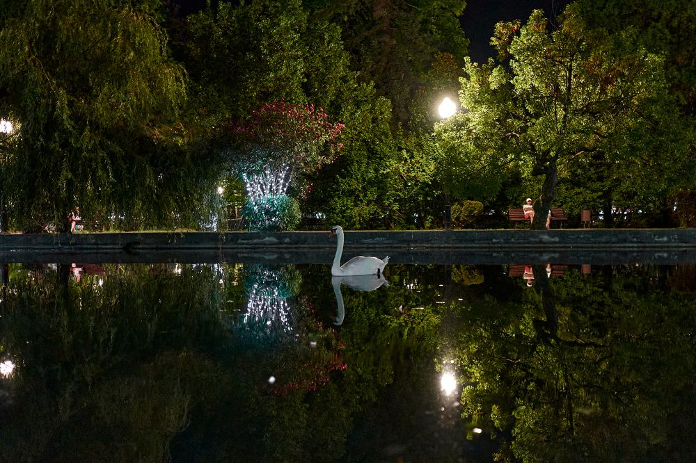 Фотография автора Игорь Игоревич