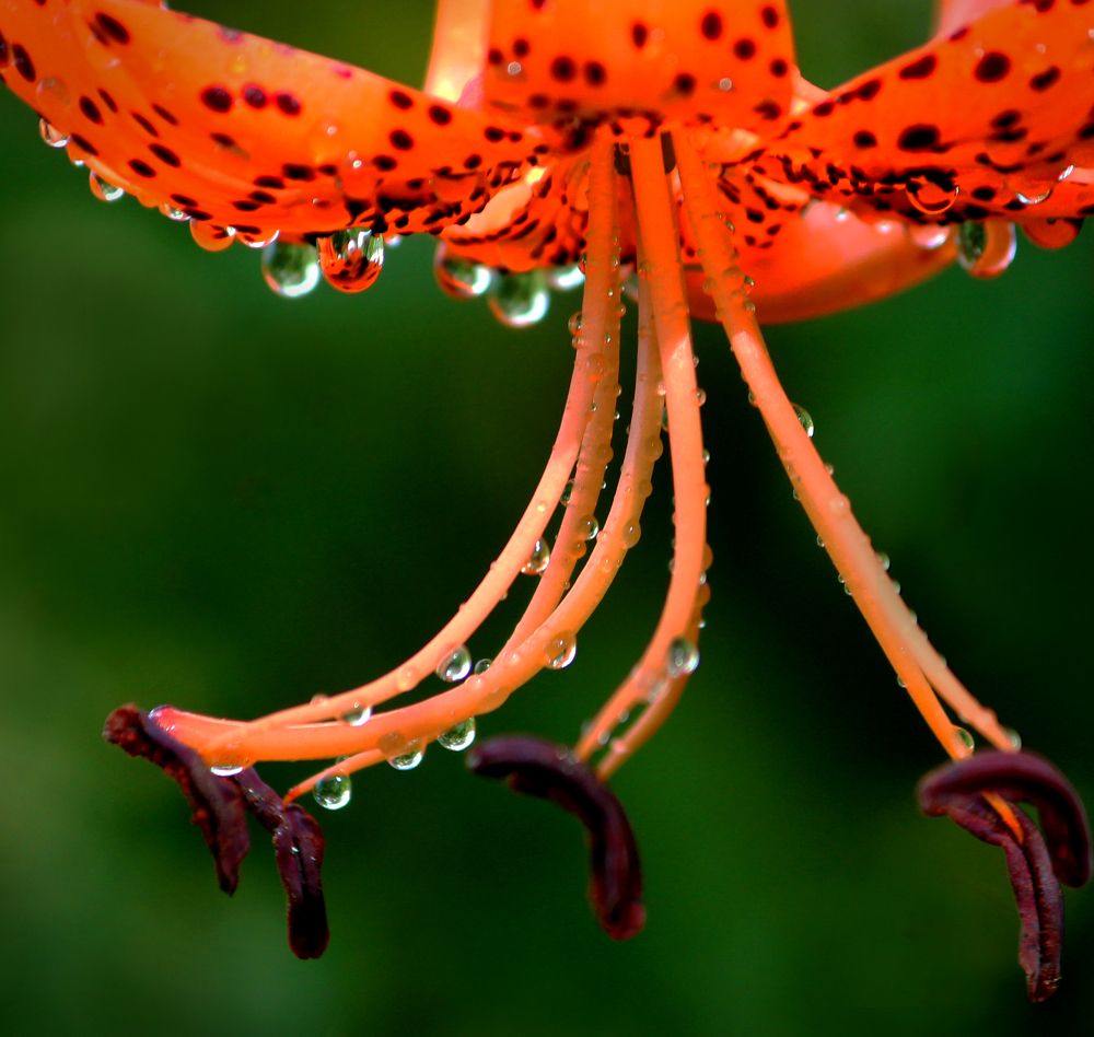 Photograph by Зоя Быкова