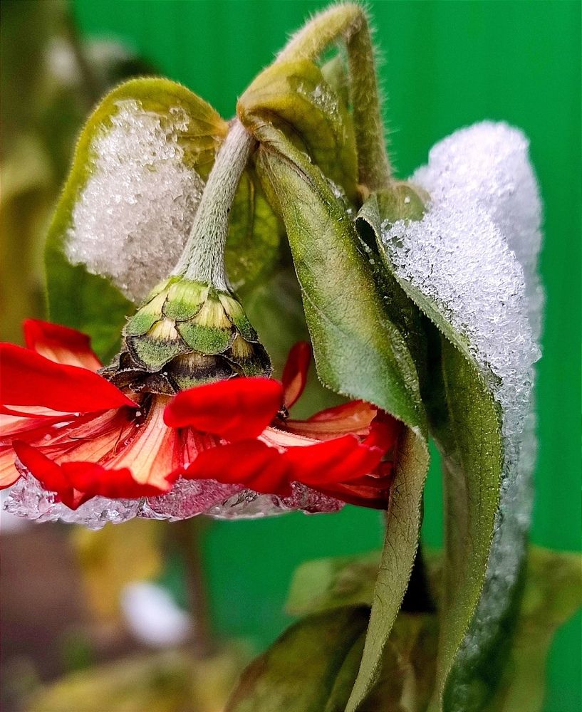 Photograph by Арина