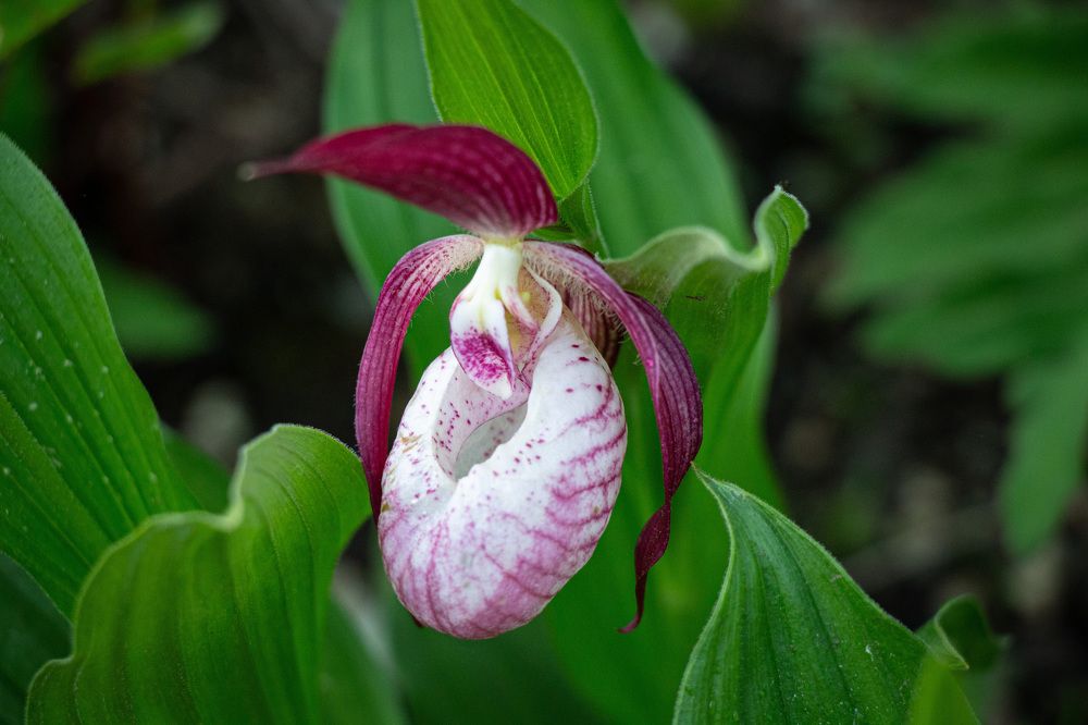 Photograph by Олег Филиппов