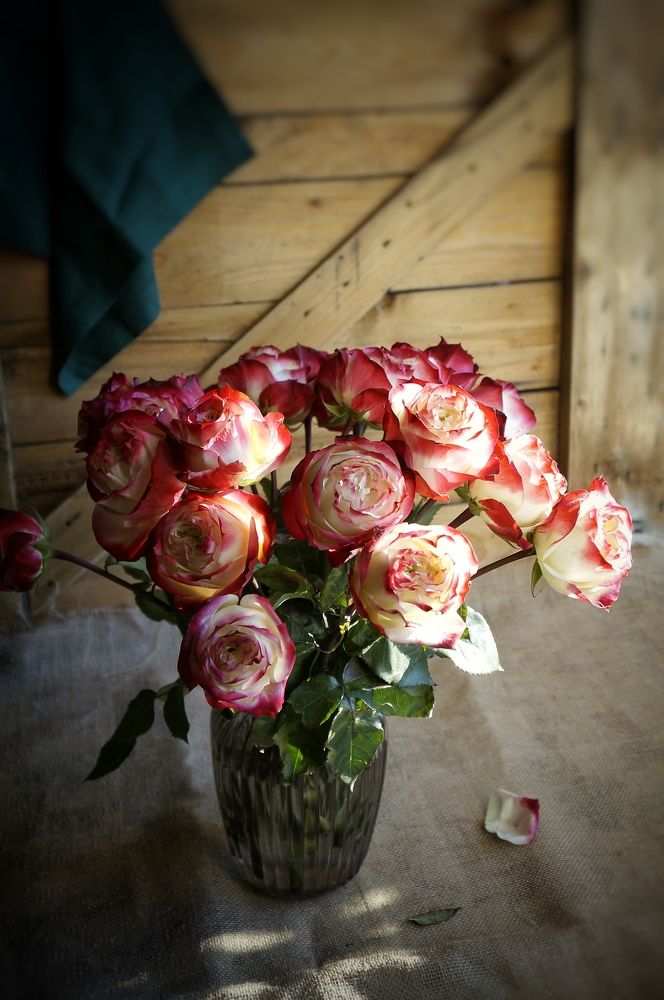 Photograph by Ирина