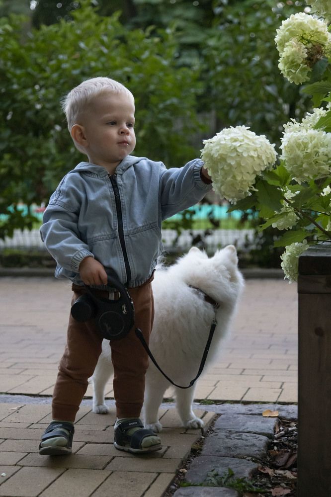 Photograph by Lera Sayapina