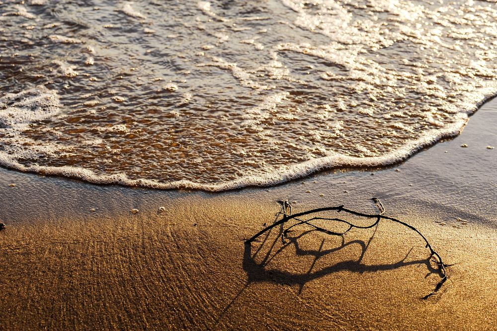 Photograph by Silvija Danelsone