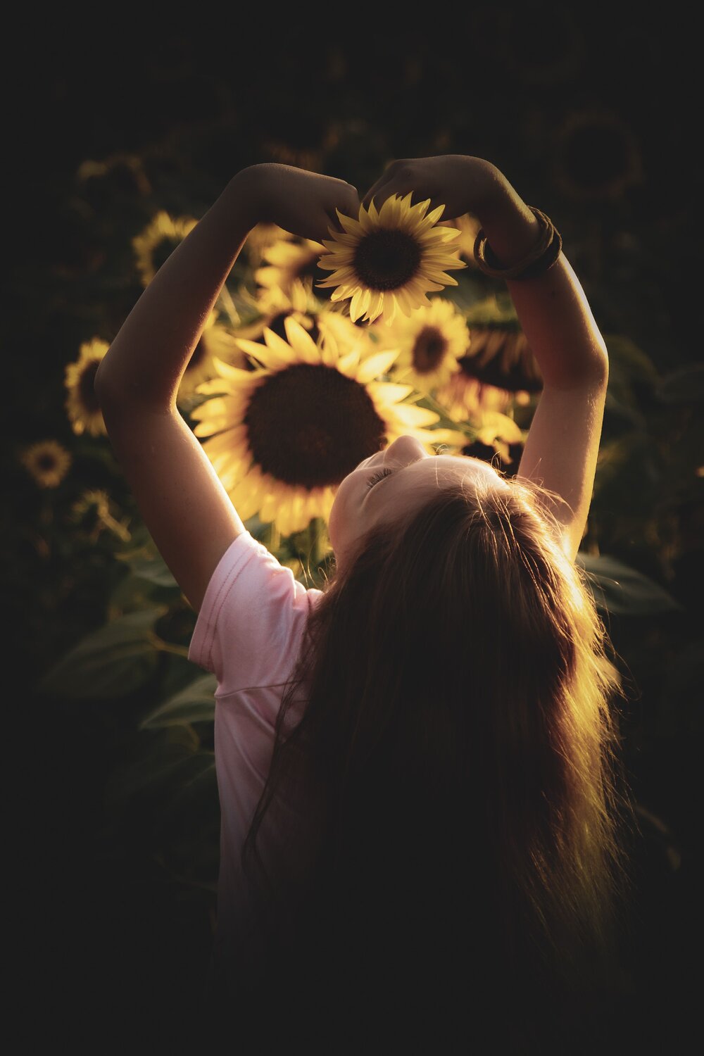 Sunflower heart