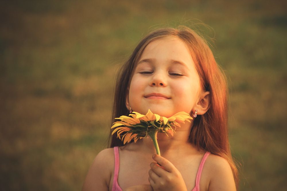 A sniff of the sunset
