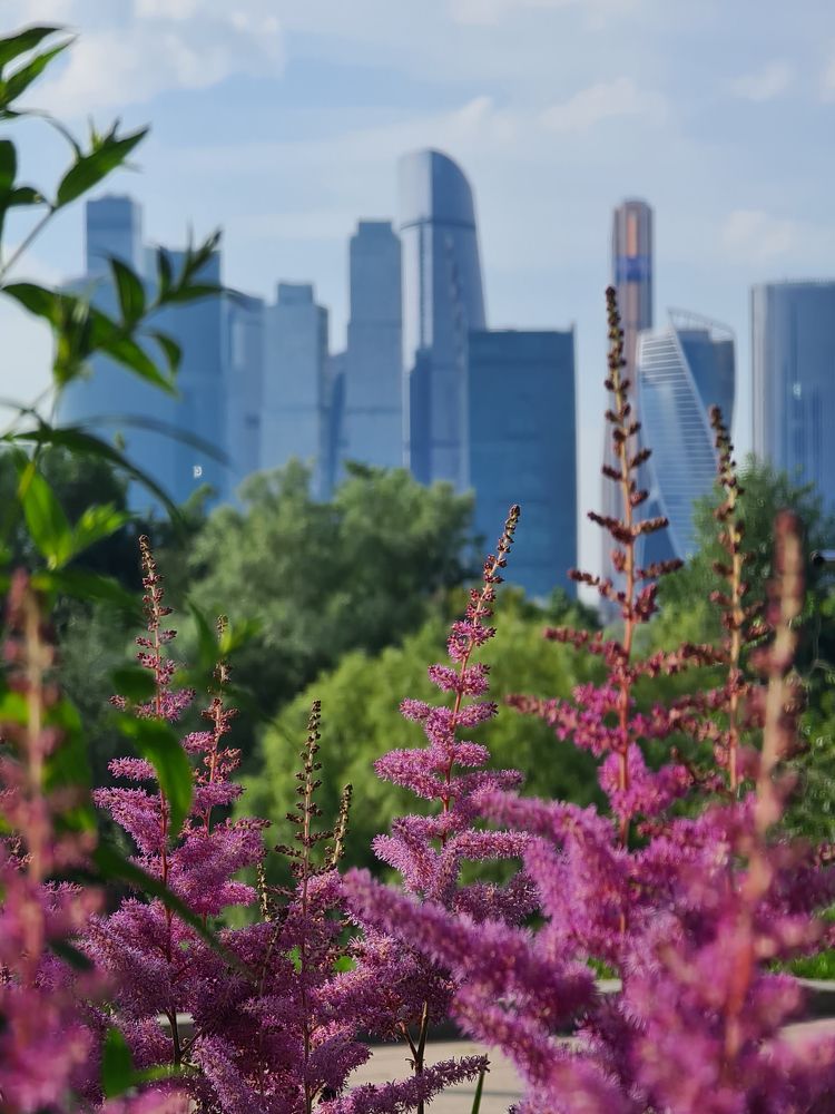 Фотография автора Валентин Науменков