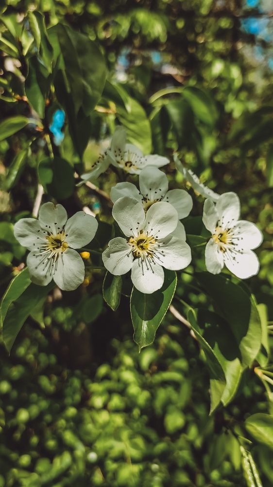 Photograph by Ирина Строкова