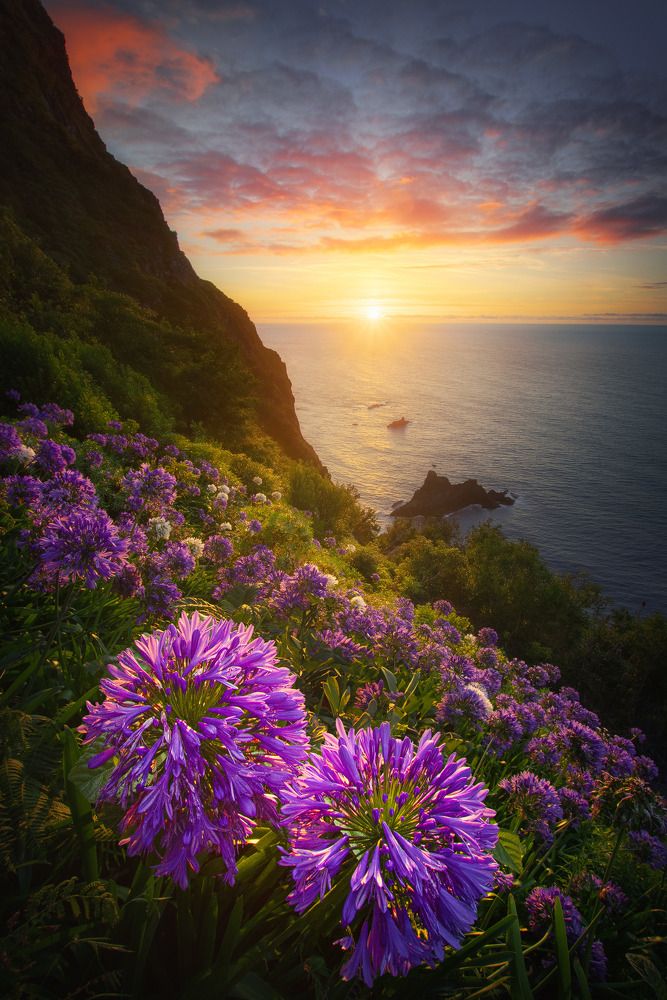 Фотография автора Andrea Bartoli