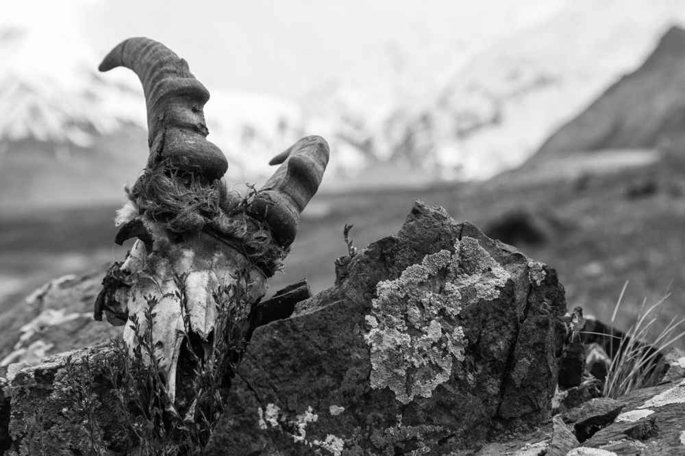 Photograph by Денис Юров