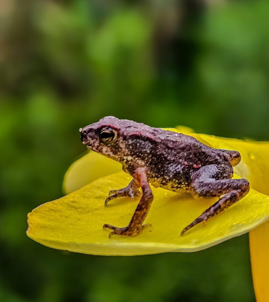 Photograph by Rehana Alpha