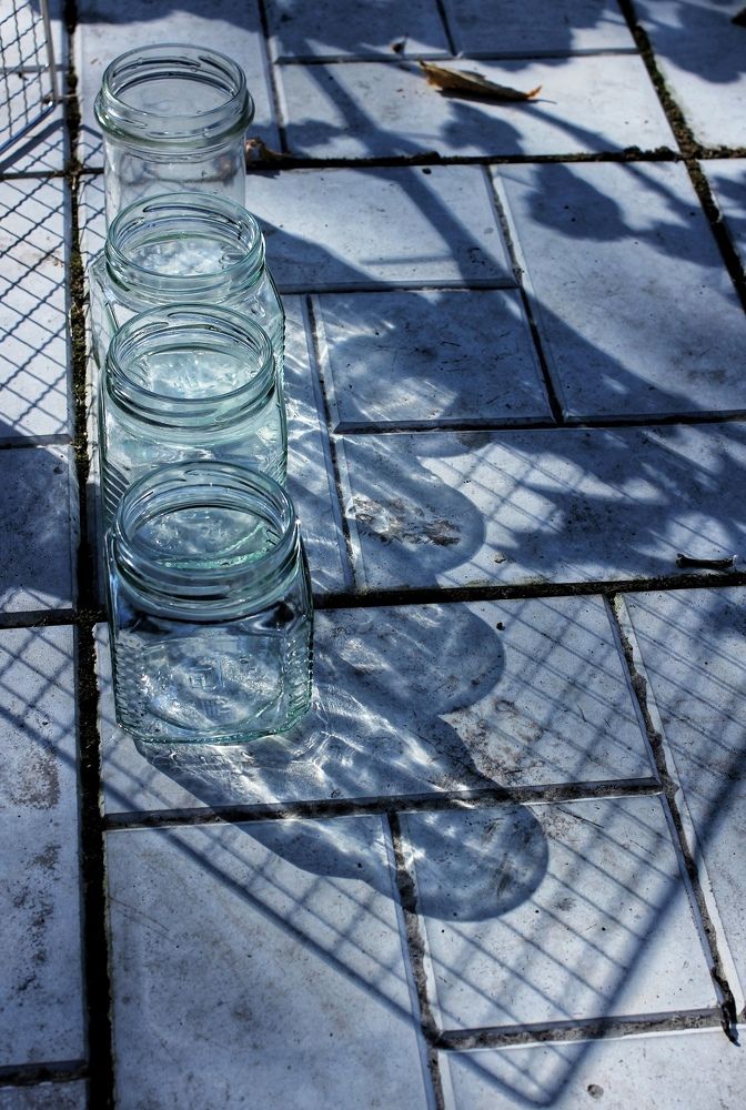 Photograph by Любовь Колмакова