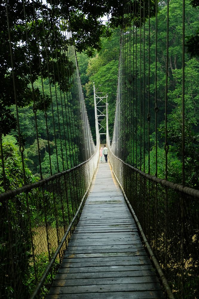 Фотография автора Abie Davies Thekkanath