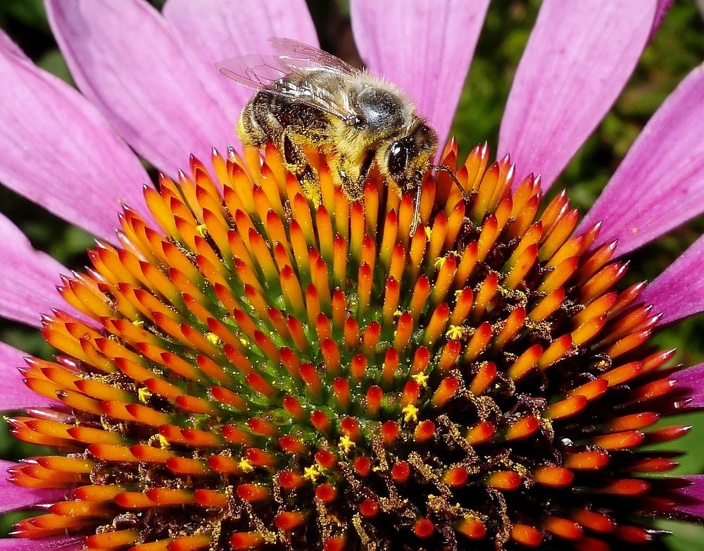 Photograph by Виктор Решетников