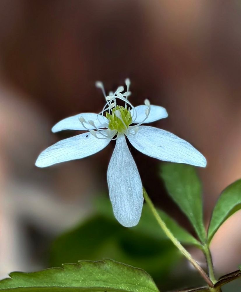 Фотография автора Stanislav Ermolin