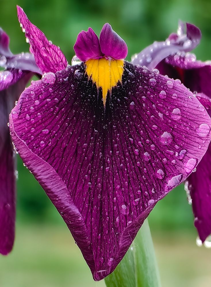 Photograph by Светлана Хамидулина