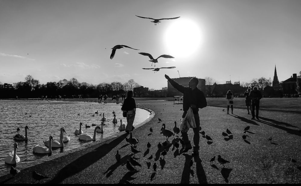 Photograph by Anya Lo