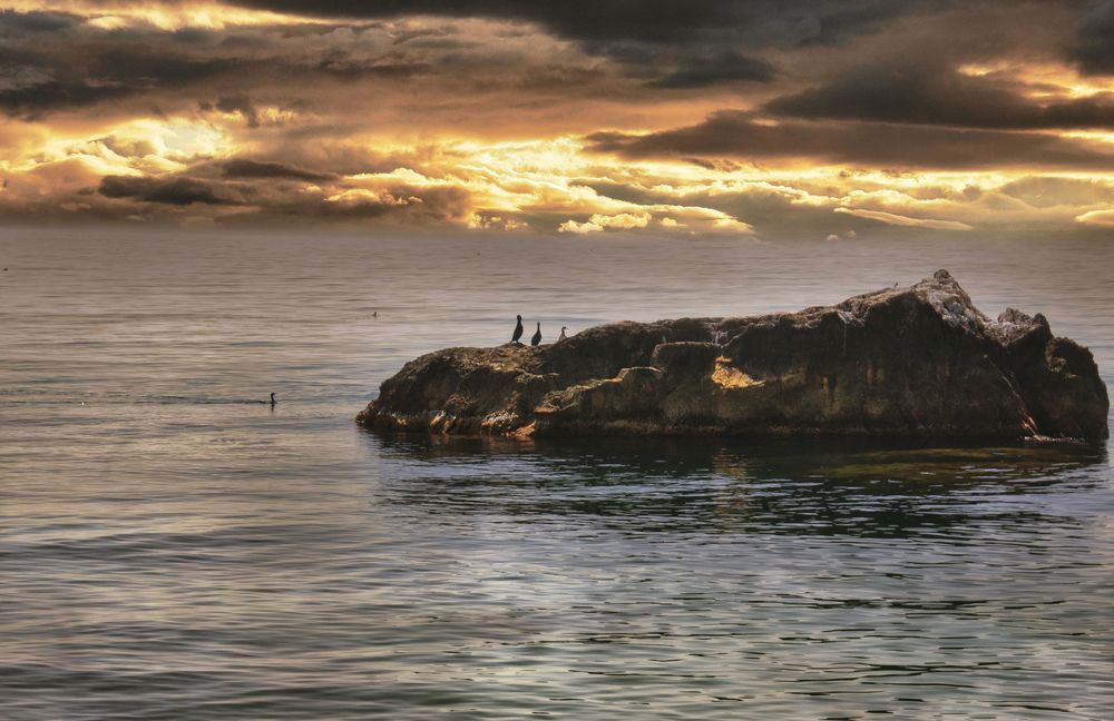 Photograph by  AlexSa