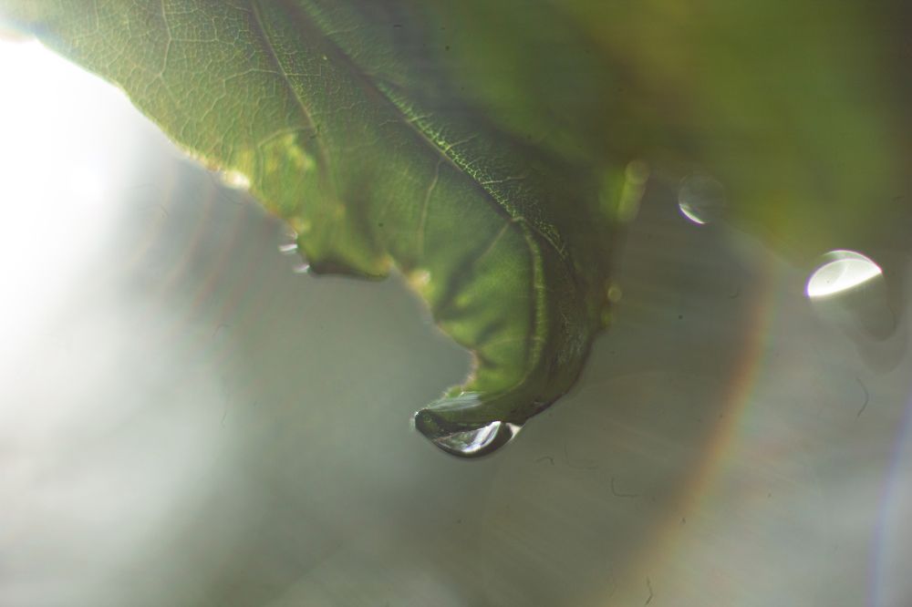 Photograph by Дарья Улюсова