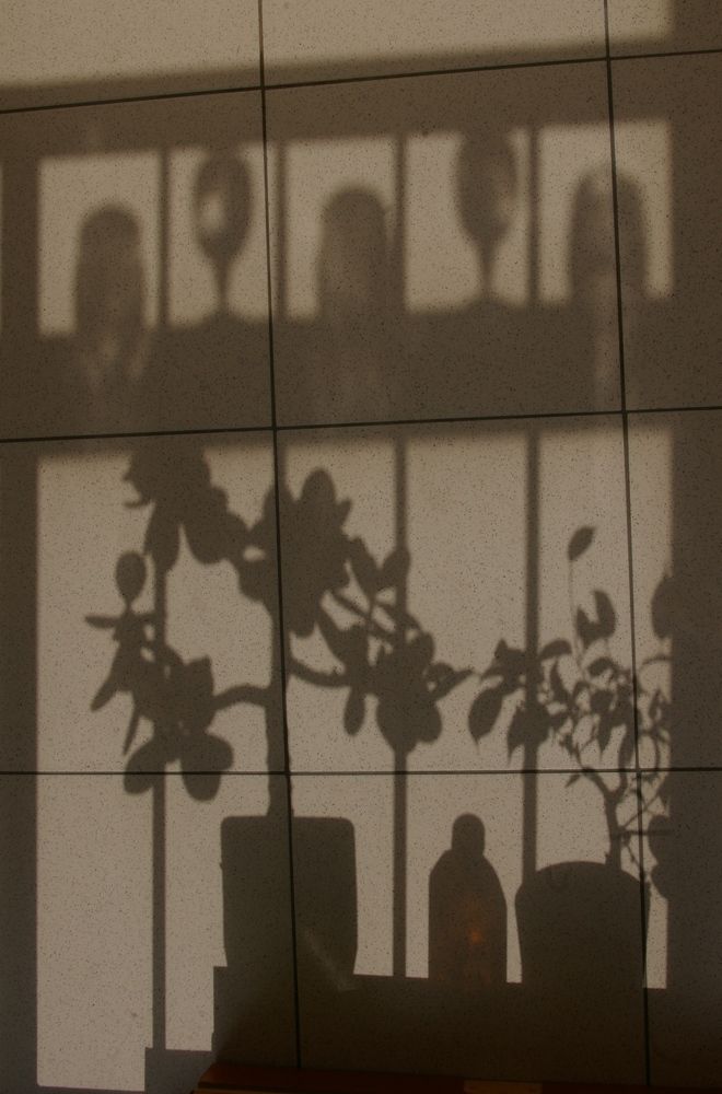 Photograph by Елена Алешкевич