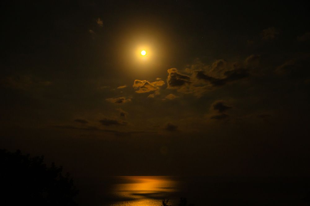 Photograph by Andrei Kramskov