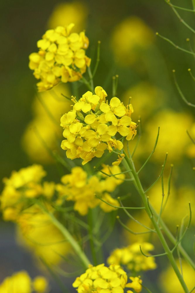 Photograph by Алексей Соймин