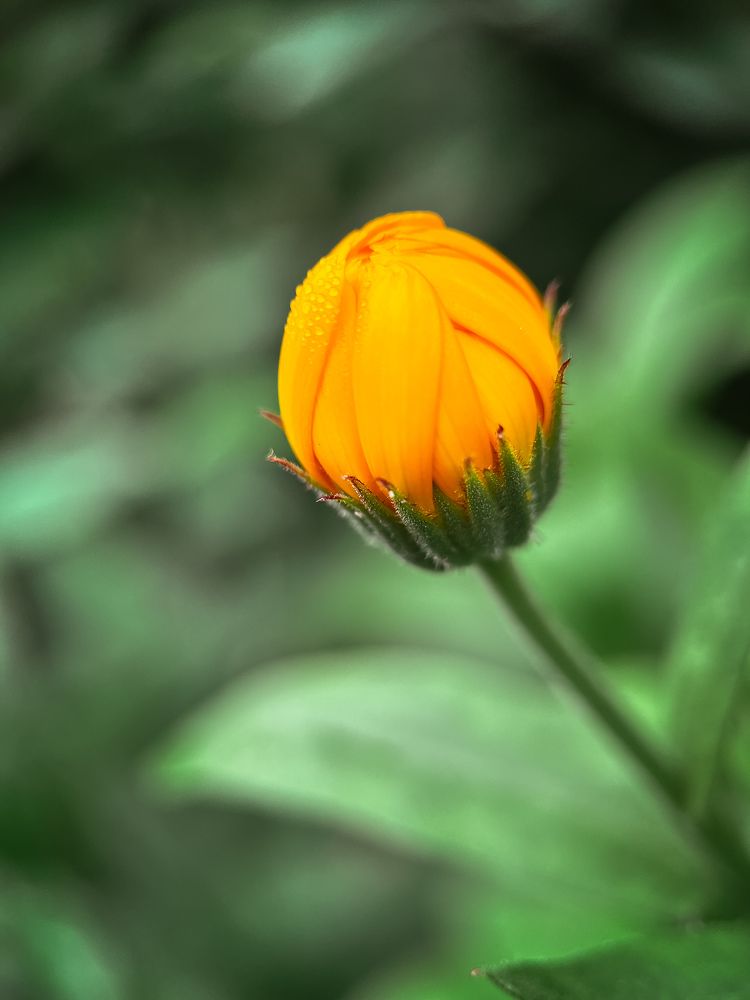 Photograph by Екатерина Валиуллина