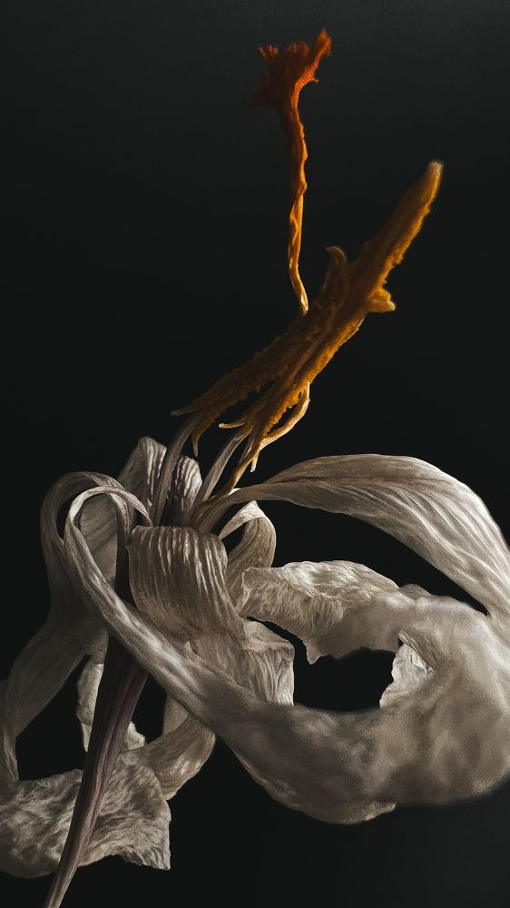 Photograph by Татьяна Михайлова