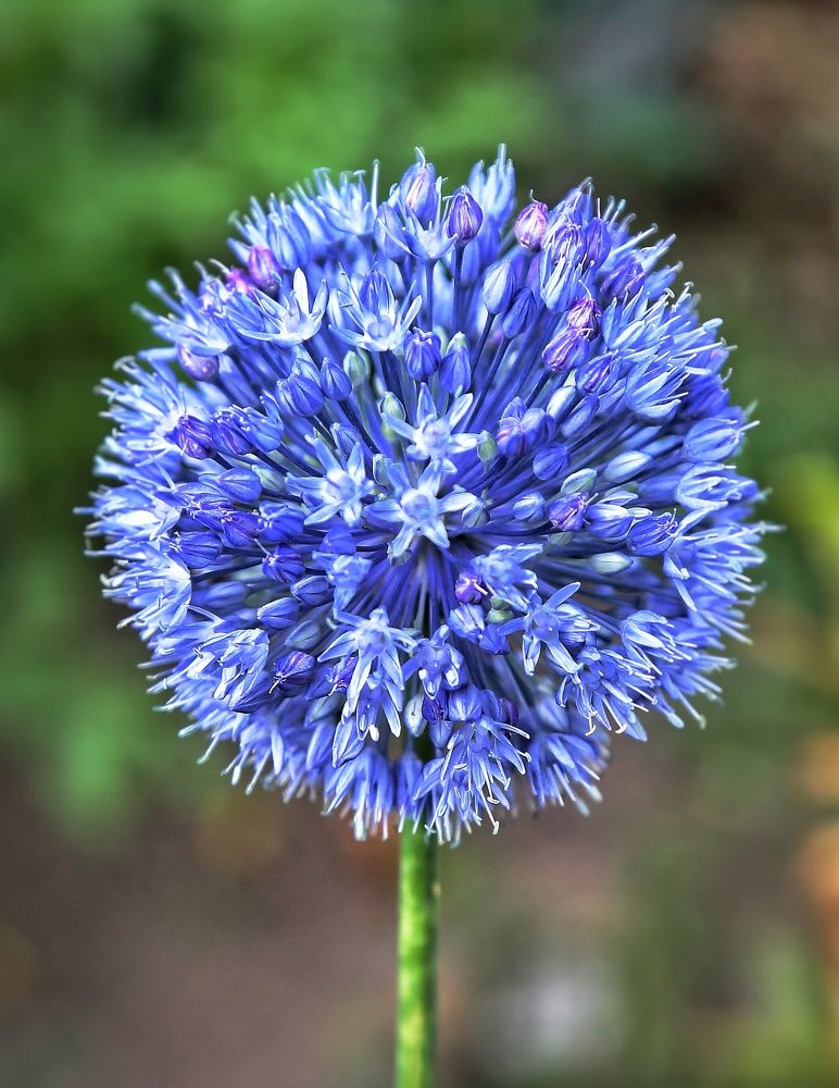 Photograph by Мария Андреева