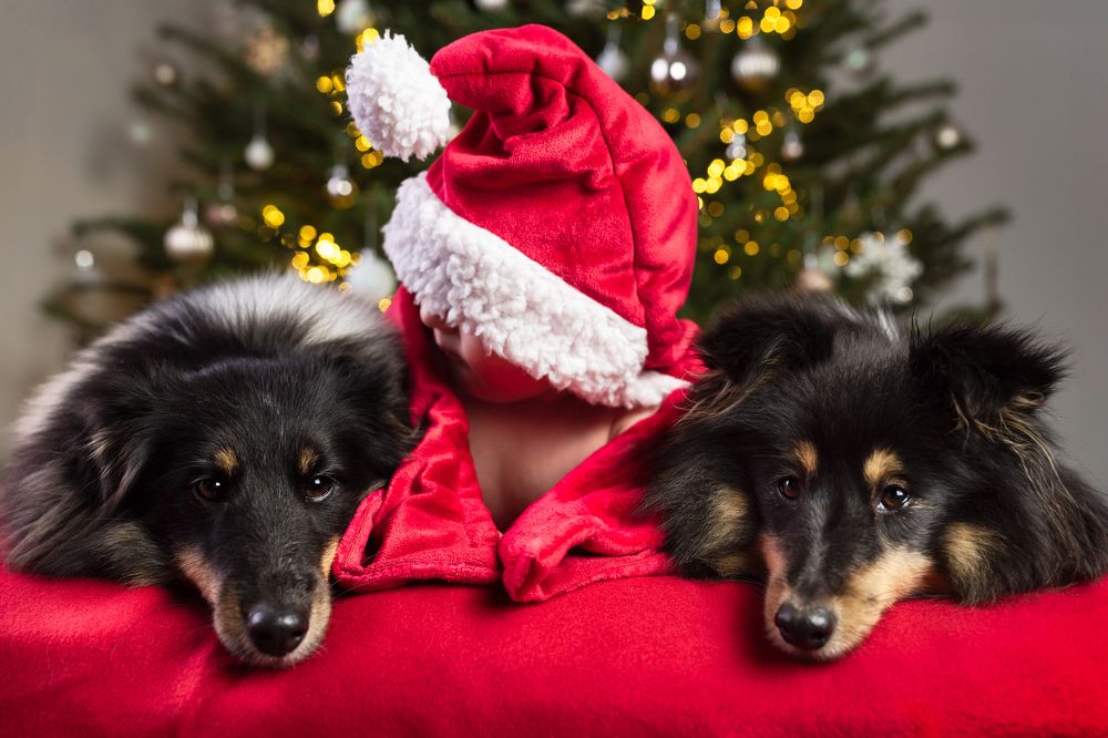 Photograph by Kelemen Tímea