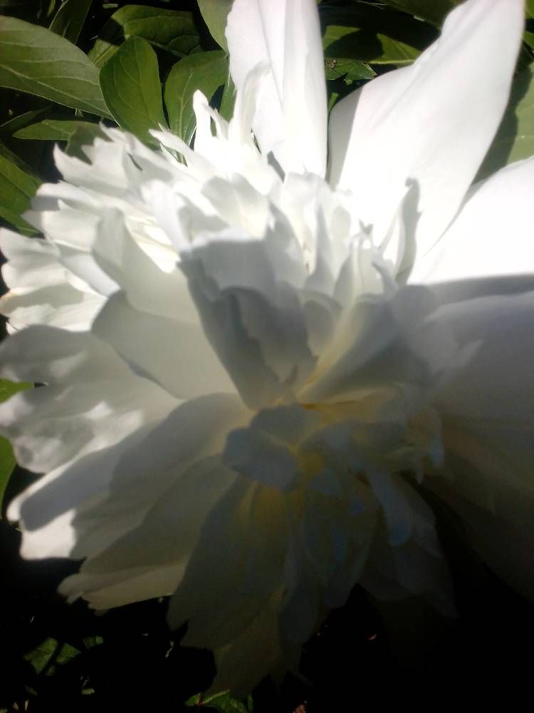 Photograph by Ольга Коркина