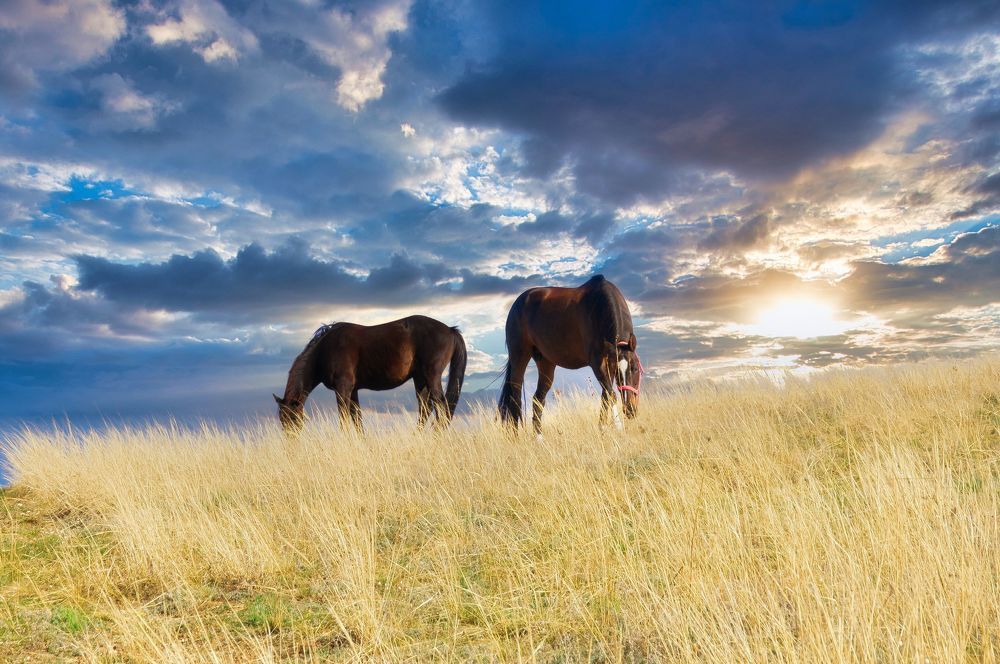 Photograph by  AlexSa