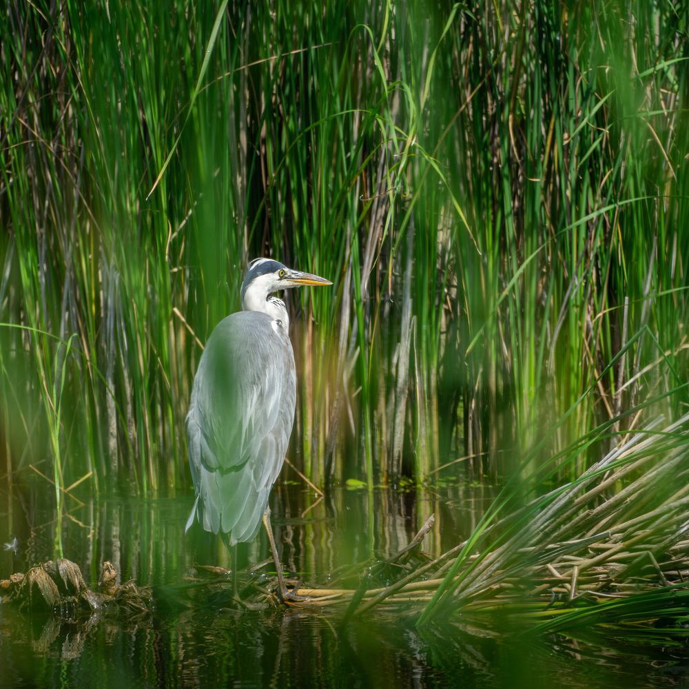 Фотография автора Владислав Белоус