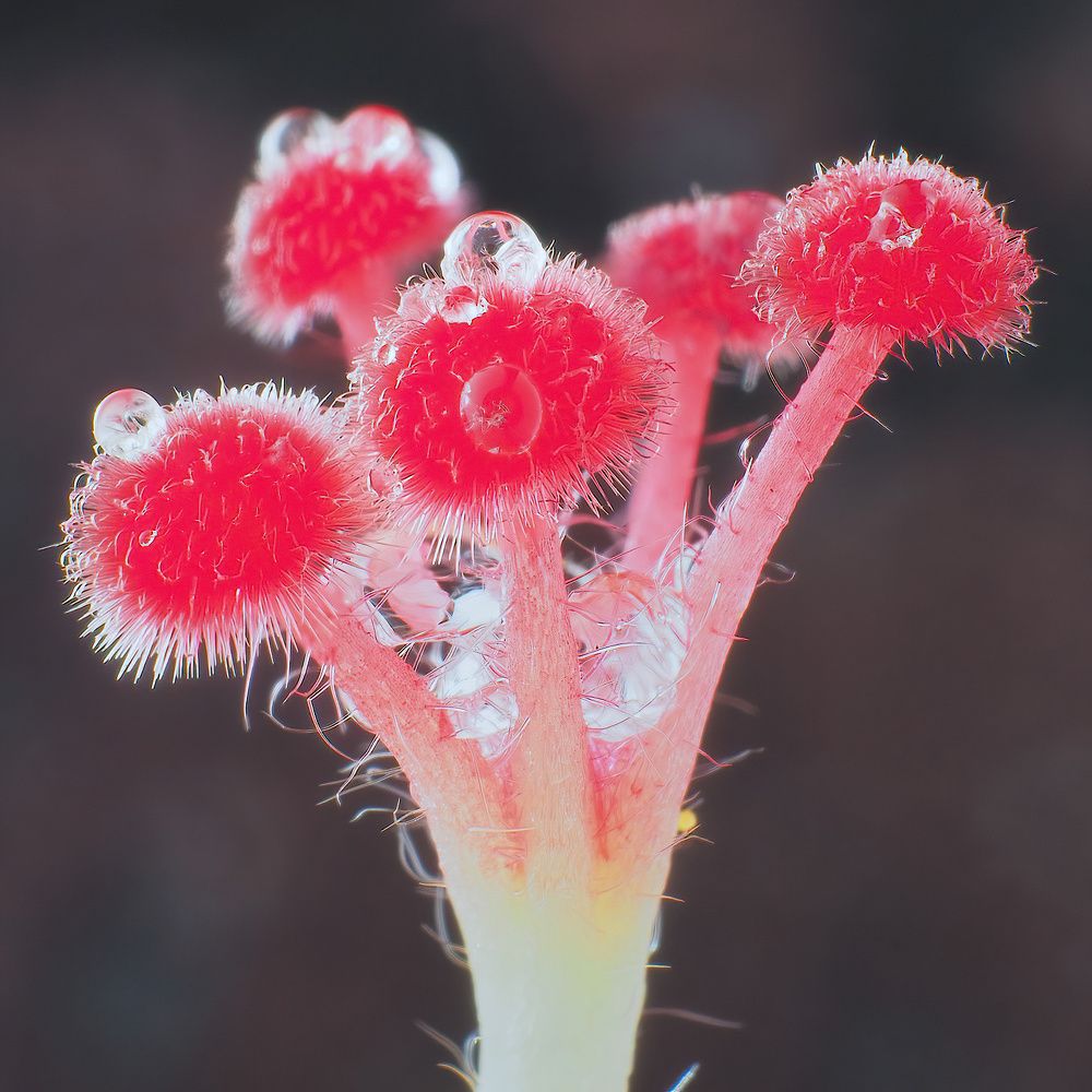 Photograph by Li Chen-You