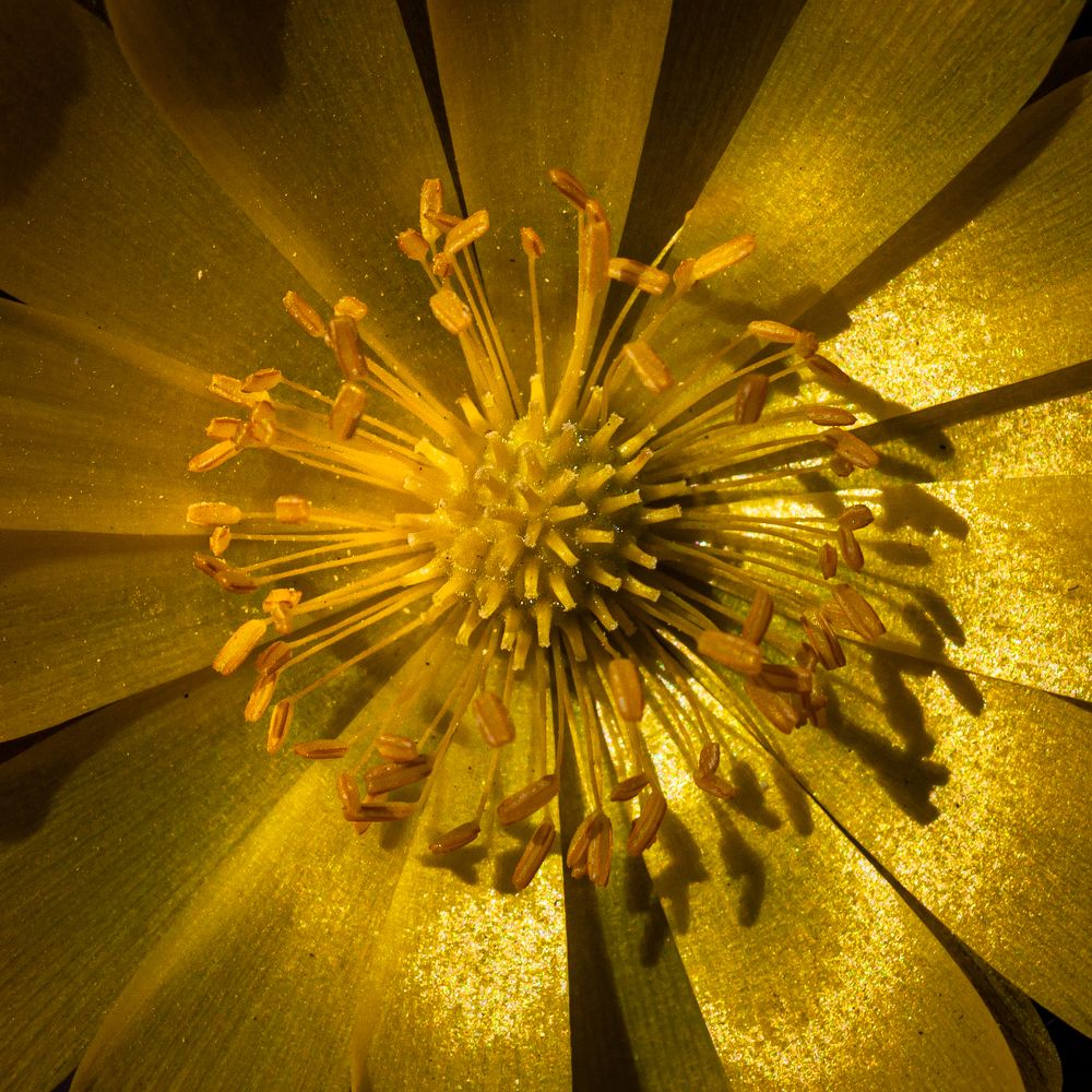 Photograph by Ольга Мусиенко