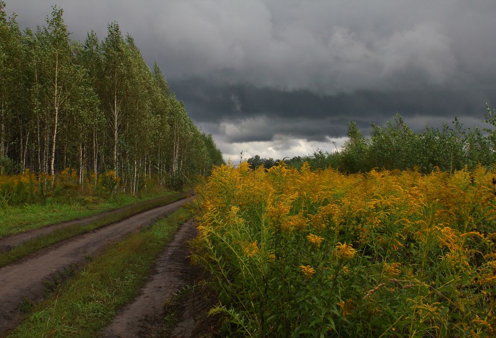 Photograph by Анна Скряжевская