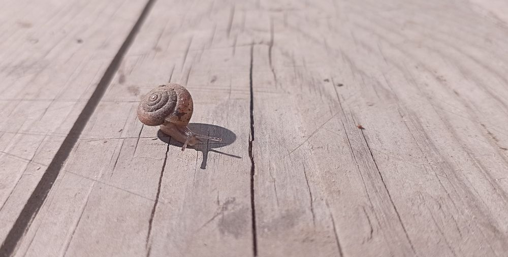 Photograph by Анна Скряжевская