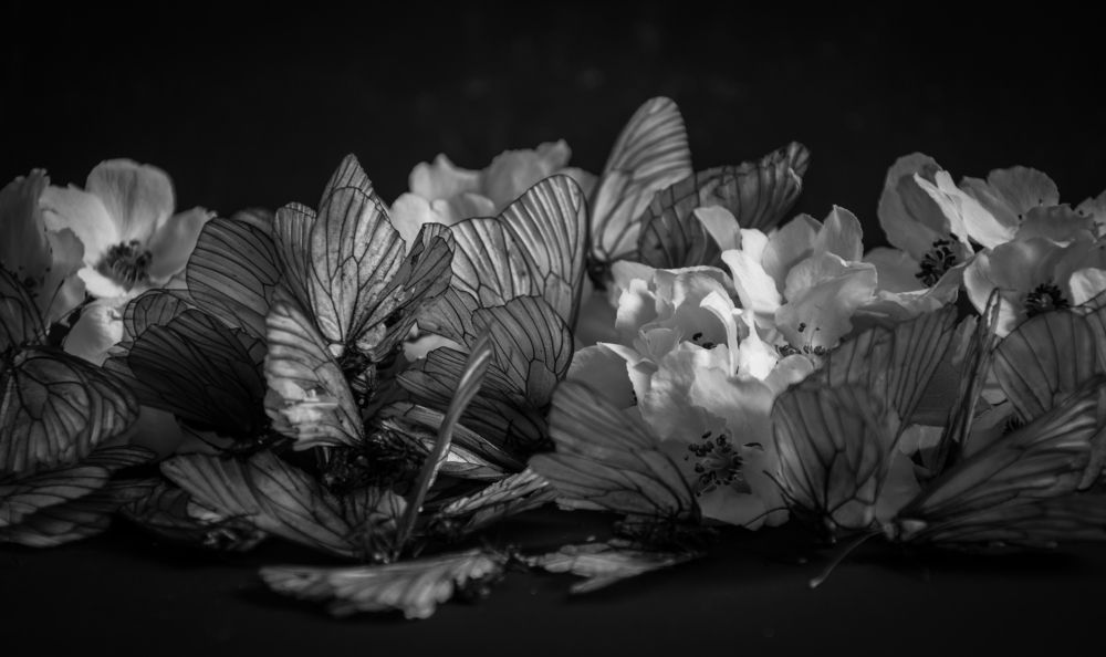 Photograph by Света Назарова