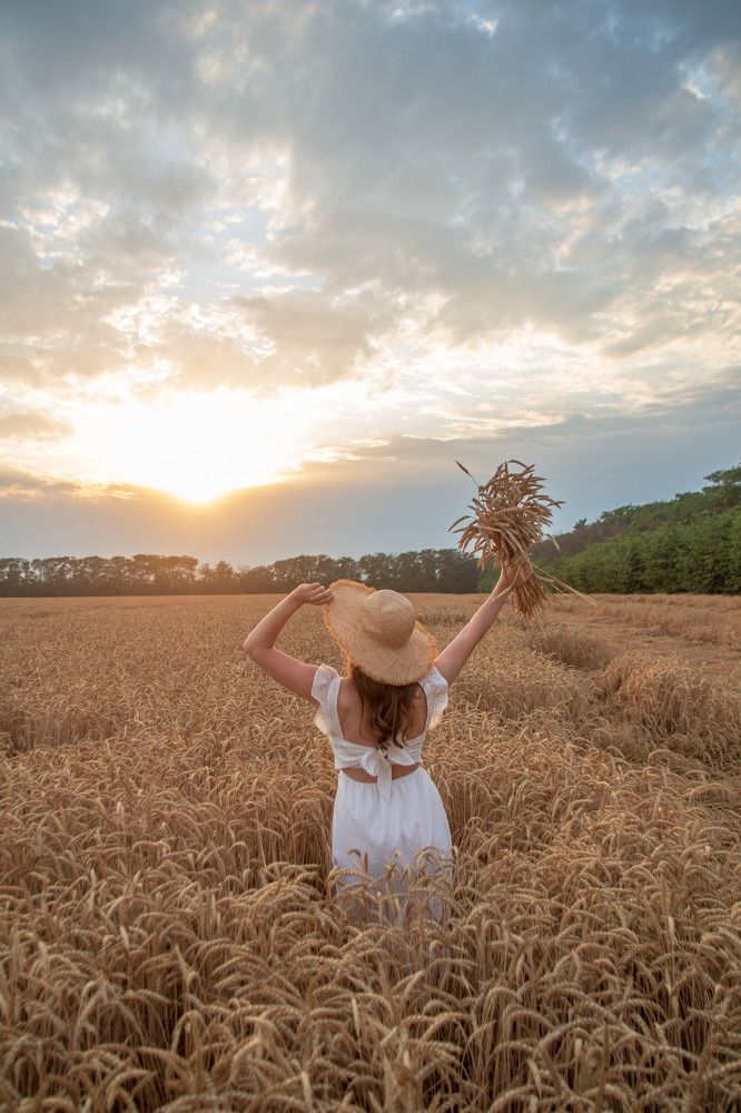 Навстречу солнцу