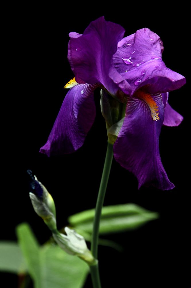 Photograph by Ксения Мироненко