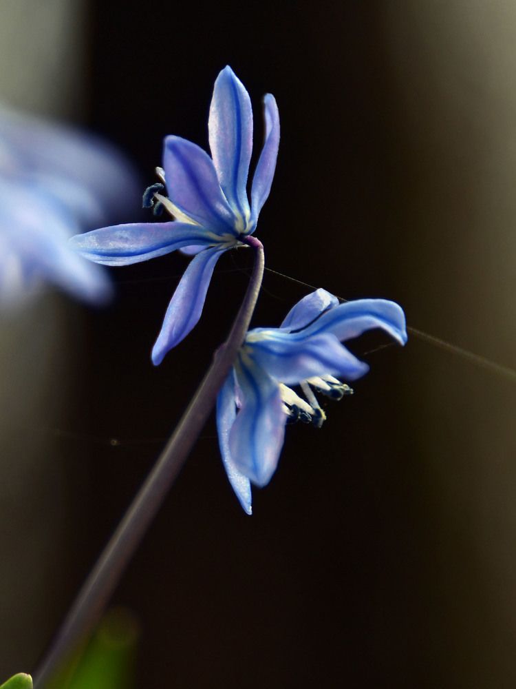 Photograph by Ксения Мироненко