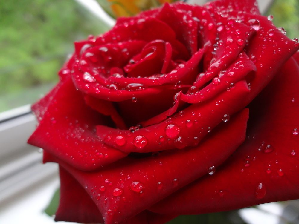 Photograph by Ксения Мироненко